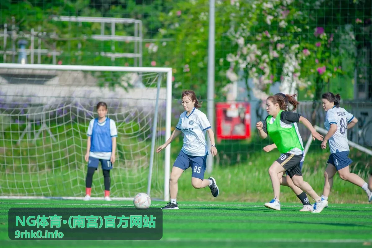 NG体育·(南宫)官方网站多端访问示意